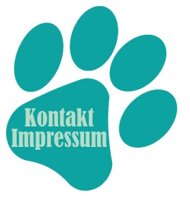Kontakt